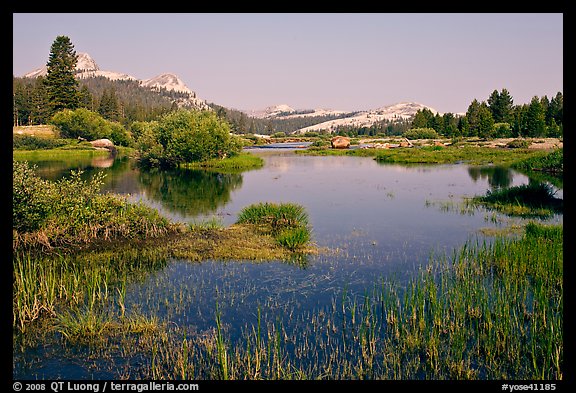 Tuolumne River and distant domes, early morning. Yosemite National Park (color)