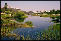 Tuolumne River and distant domes, early morning. Yosemite National Park, California, USA. (color)