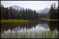 Mount Dana and Mount Gibbs reflected in lake, morning. Yosemite National Park ( color)