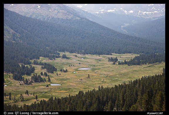 Dana Meadows seen from above, early summer. Yosemite National Park (color)