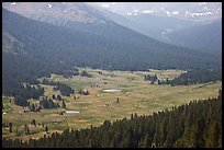 Dana Meadows seen from above, early summer. Yosemite National Park ( color)