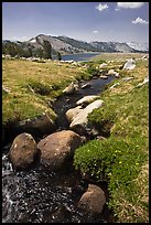 Boulders, stream, and lower Gaylor Lake. Yosemite National Park, California, USA. (color)