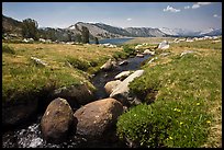 Alpine scenery with stream and distant Gaylor Lake. Yosemite National Park, California, USA. (color)