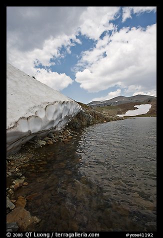 Neve on shore of upper Gaylor Lake. Yosemite National Park (color)