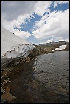 Neve on shore of upper Gaylor Lake. Yosemite National Park, California, USA. (color)