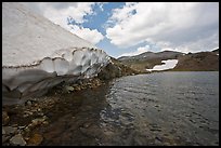 Gaylor lake in early summer with neve near water. Yosemite National Park ( color)