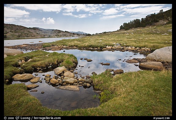 High alpine country near Gaylor Lake. Yosemite National Park, California, USA.