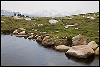 Shore of Gaylor Lake and Cathedral range. Yosemite National Park, California, USA.