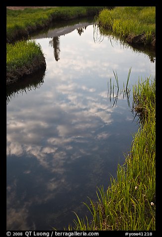 Stream and cloud reflections near Lower Cathedral Lake. Yosemite National Park (color)