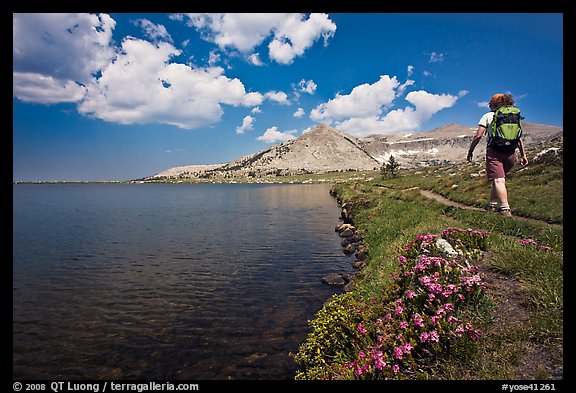 Woman hiker on the shore of Gaylor Lake. Yosemite National Park (color)