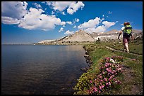 Woman hiker on the shore of Gaylor Lake. Yosemite National Park, California, USA. (color)