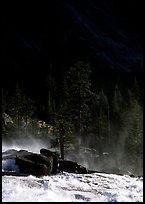 Tree in swirling waters and forest in shade, Waterwheel Falls. Yosemite National Park, California, USA. (color)