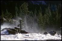 Tree in swirling waters, Waterwheel Falls, late afternoon. Yosemite National Park ( color)