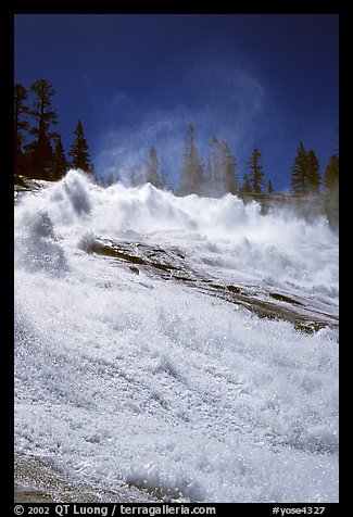 Raging waters of Waterwheel Falls, morning. Yosemite National Park, California, USA.