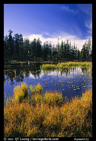 Siesta Lake, autumn afternoon. Yosemite National Park, California, USA.