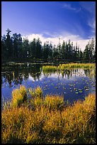 Siesta Lake, autumn afternoon. Yosemite National Park, California, USA.