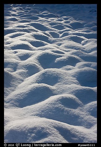 Snow mounds, Cook Meadow. Yosemite National Park, California, USA.