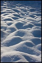 Snow mounds, Cook Meadow. Yosemite National Park, California, USA.