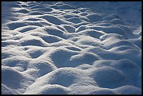 Rounded pattern of snow over grasses, Cook Meadow. Yosemite National Park, California, USA.