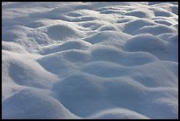 Snow pattern, Cook Meadow. Yosemite National Park, California, USA.