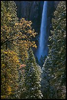 Bridalveil Fall after rare spring snow storm. Yosemite National Park, California, USA.