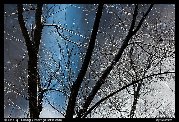 Water drops, branches, mist, and Bridalveil Fall. Yosemite National Park (color)