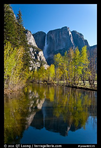 Yosemite Falls reflected in mirror-like Merced River, early spring. Yosemite National Park (color)