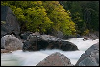 Merced River whitewater in spring. Yosemite National Park, California, USA.