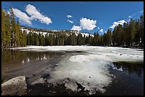 Siesta Lake, early spring. Yosemite National Park, California, USA. (color)