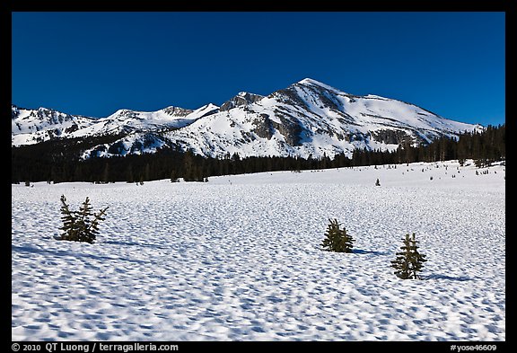 Suncups in Dana Meadow and Mammoth Peak. Yosemite National Park, California, USA.