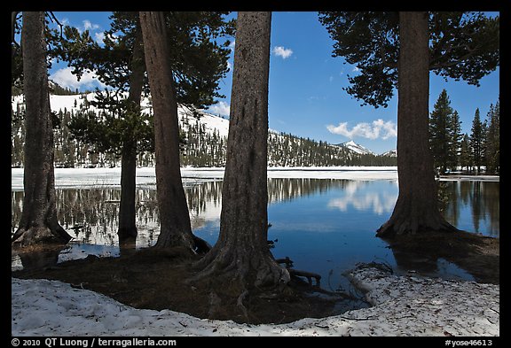 Tenaya Lake in the spring. Yosemite National Park (color)