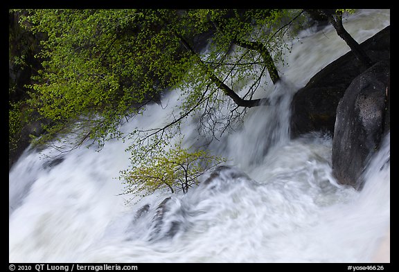 Raging waters, Cascade Creek. Yosemite National Park (color)