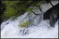 Raging waters, Cascade Creek. Yosemite National Park, California, USA.