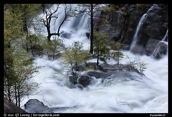 Islet of trees at confluence, Cascade Creek. Yosemite National Park (color)