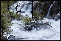 Islet of trees at confluence, Cascade Creek. Yosemite National Park, California, USA.