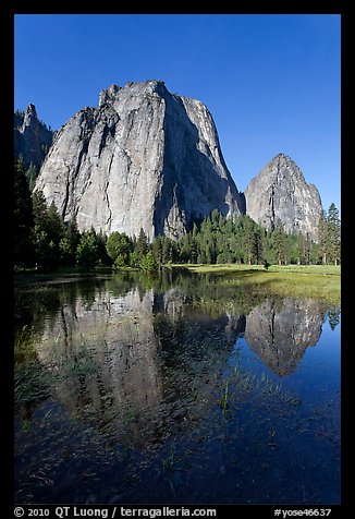 Cathedral Rocks reflected in flooded El Capitan Meadow. Yosemite National Park, California, USA.