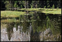 Unusual El Capitan Meadow reflections. Yosemite National Park ( color)