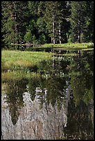 Cathedral Rocks reflected in seasonal pond. Yosemite National Park, California, USA.