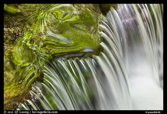 Fern Spring cascade. Yosemite National Park (color)