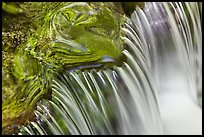 Fern Spring cascade. Yosemite National Park ( color)