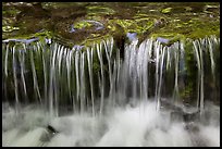 Cascading water, Fern Spring. Yosemite National Park, California, USA.