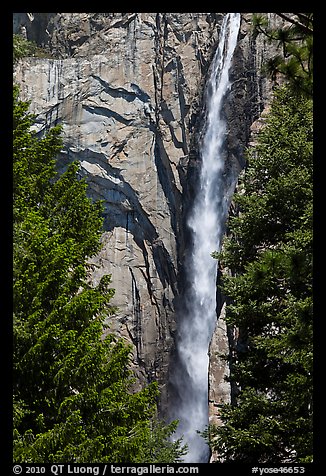 Trees, Ribbon Falls and cliffs. Yosemite National Park (color)
