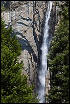 Trees, Ribbon Falls and cliffs. Yosemite National Park, California, USA.