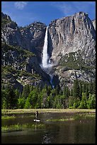 Man paddling in flooded meadow below Yosemite Falls. Yosemite National Park, California, USA.