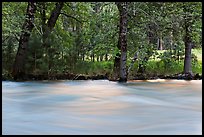 Merced River and trees on bank at sunset. Yosemite National Park, California, USA.