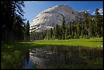 Half-Dome from Hidden Lake. Yosemite National Park, California, USA. (color)