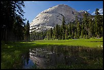 Half-Dome from Hidden Lake. Yosemite National Park, California, USA.