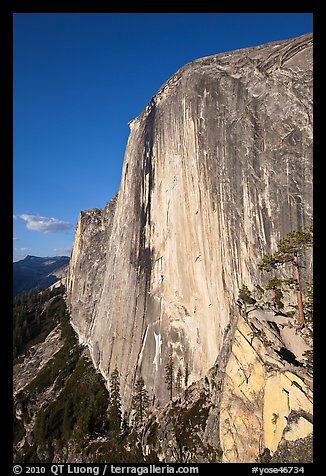 Face of Half-Dome seen from the Diving Board. Yosemite National Park (color)