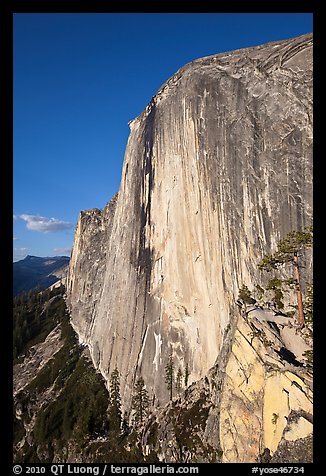 Face of Half-Dome seen from the Diving Board. Yosemite National Park, California, USA.