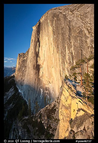 Sheer face of Half-Dome at sunset. Yosemite National Park, California, USA.